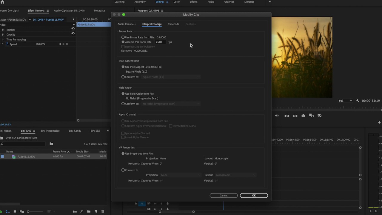 Interpreting Footage in Adobe Premiere Pro