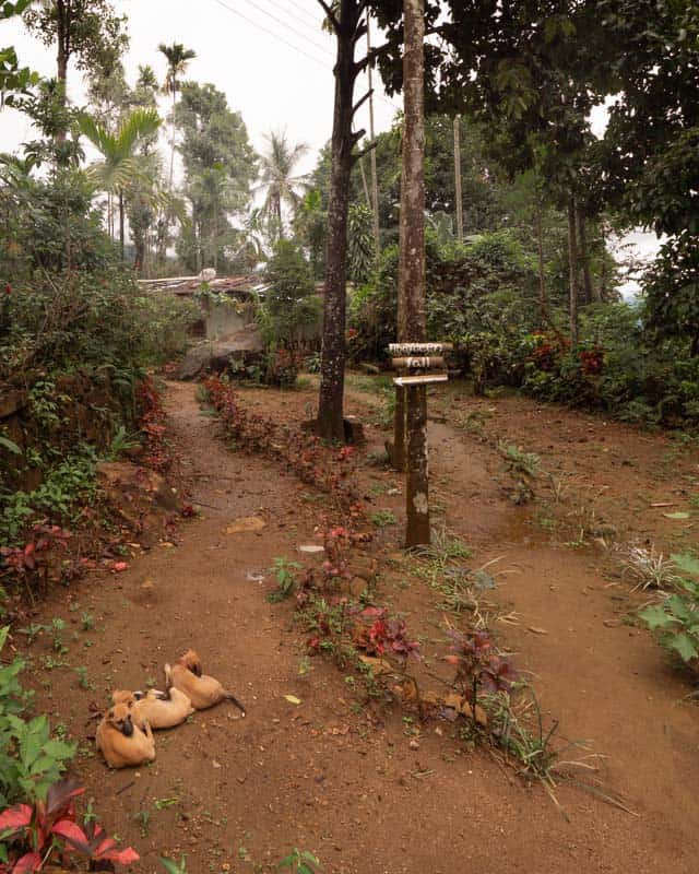 aberdeen-falls-sri-lanka-sign aberdeen-falls-sri-lanka-sign