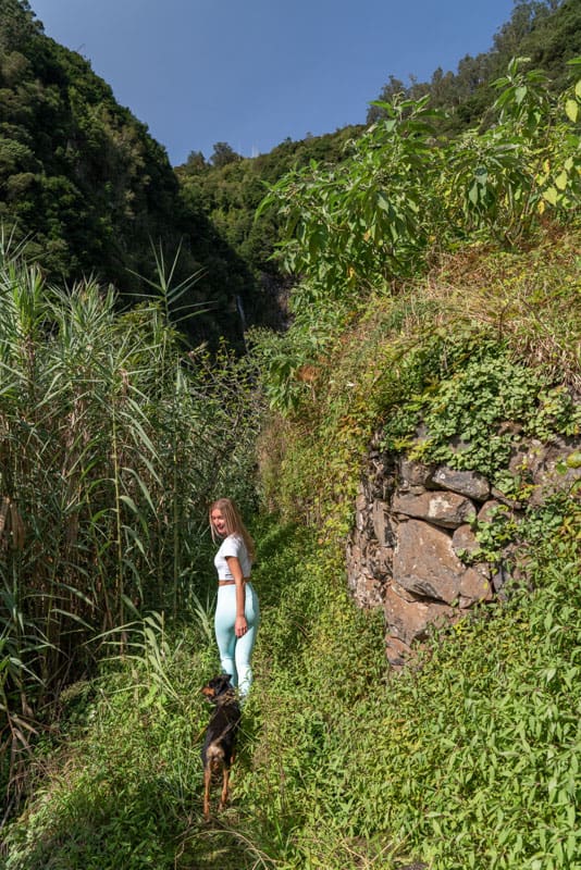 Agua-dโAlto-waterfall-levada-path Agua-d'Alto-waterfall-levada-path