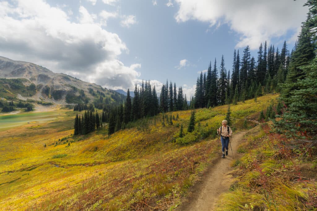 alpine-meadow-panorama-ridge