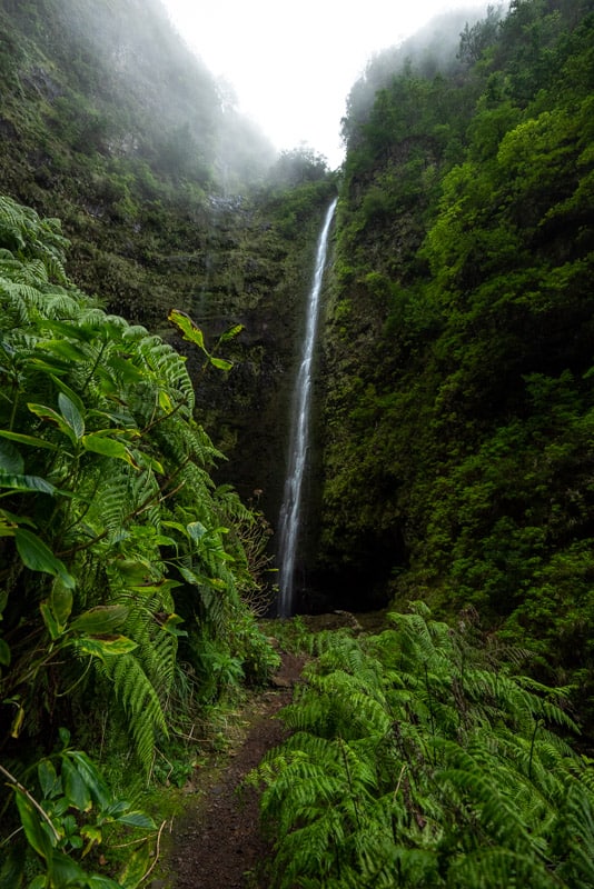 caldeirao-verde-waterfall-path caldeirao-verde-waterfall-path