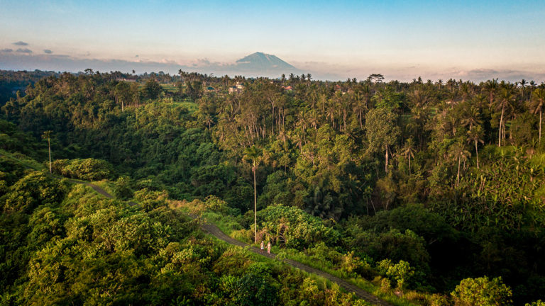 campuhan-ridgewalk-ubud-