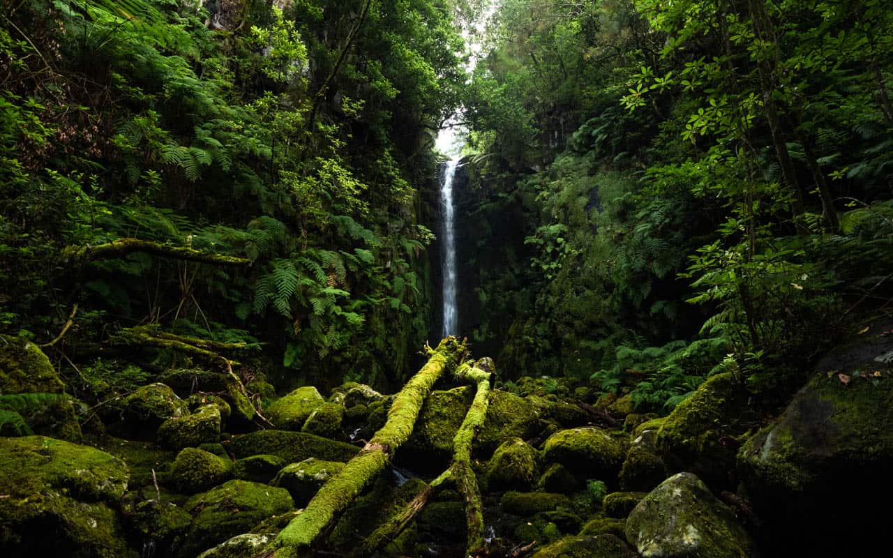 Cascata-do-Rabo-do-Burro-waterfall-landscape_ Cascata-do-Rabo-do-Burro-waterfall-landscape_