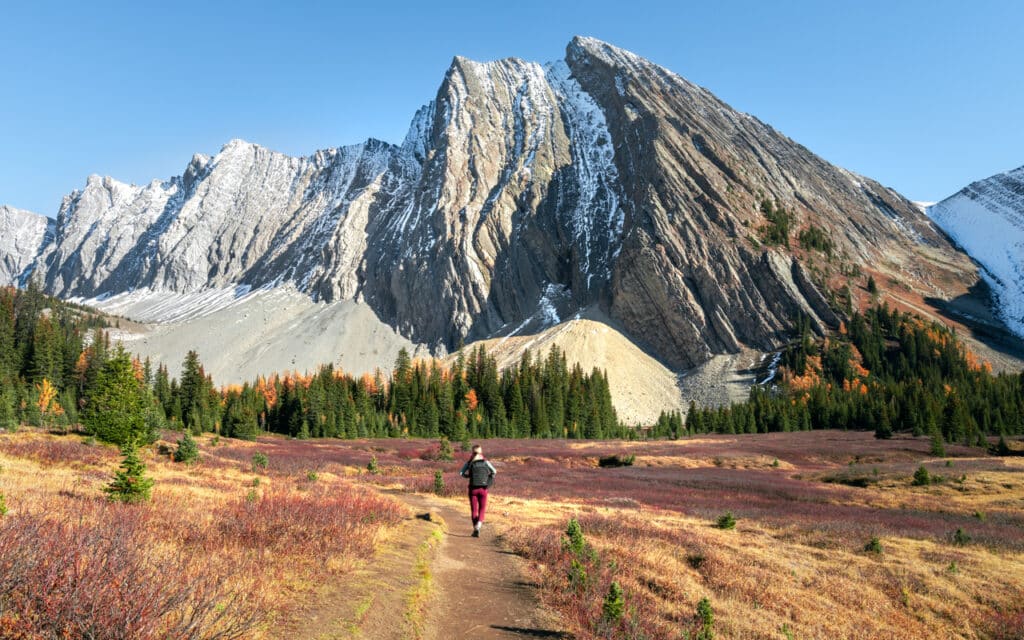chester-lake-hike-meadow-mountain-view