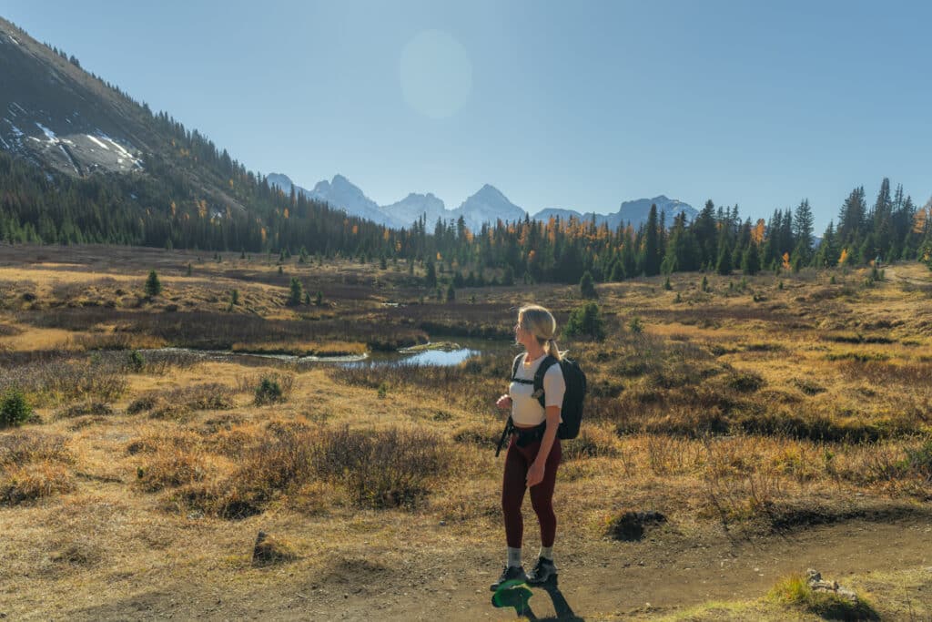 chester-lake-hike-meadow-mountain-views