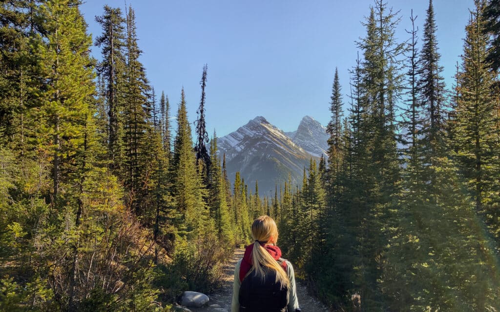 chester-lake-trail-moutain-view-way-back-