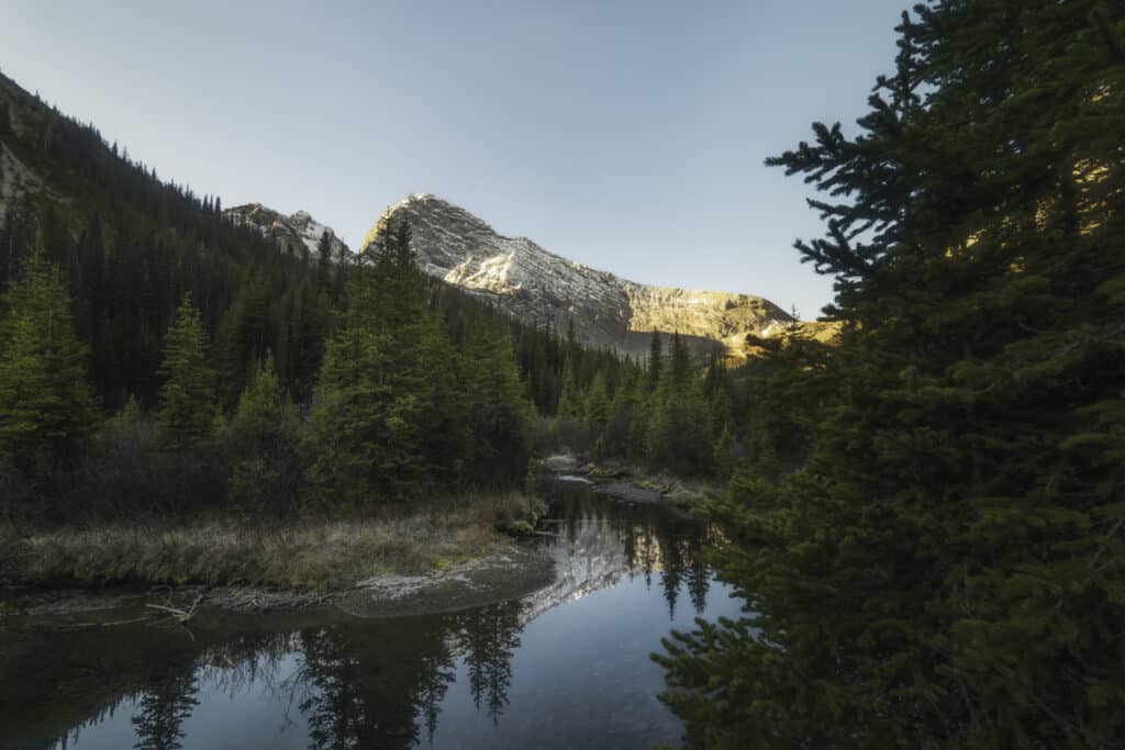 commonwealth-creek-smutwood-trail