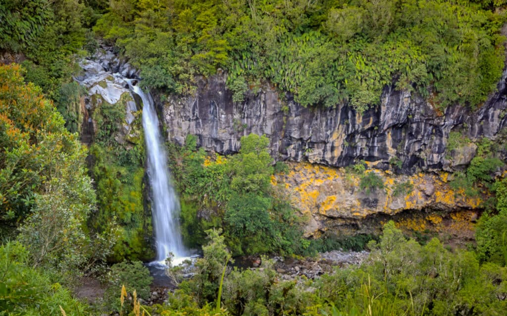 dawson-falls-taranaki