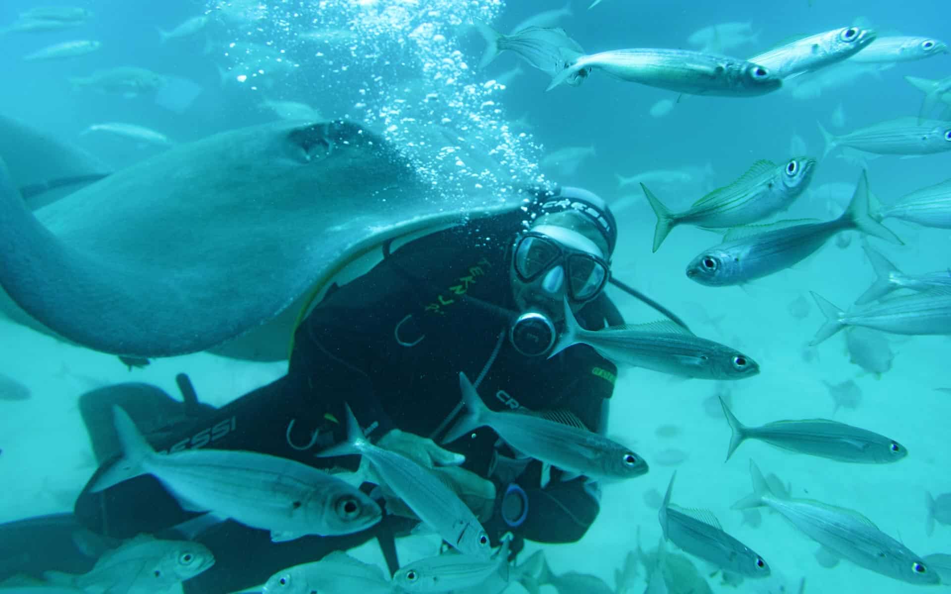 diving-koh-phangan diving-koh-phangan