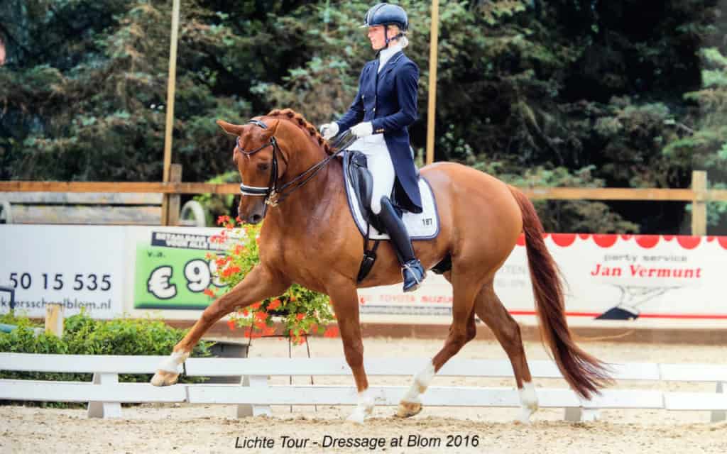 Ilse-dressage