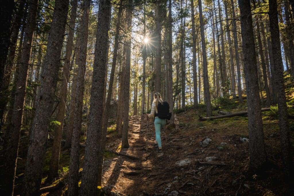 east-end-rundle-hike-forest-trail