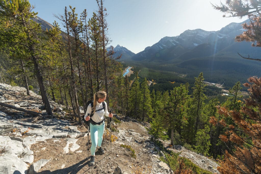 east-end-rundle-hike-treeline-valley-view