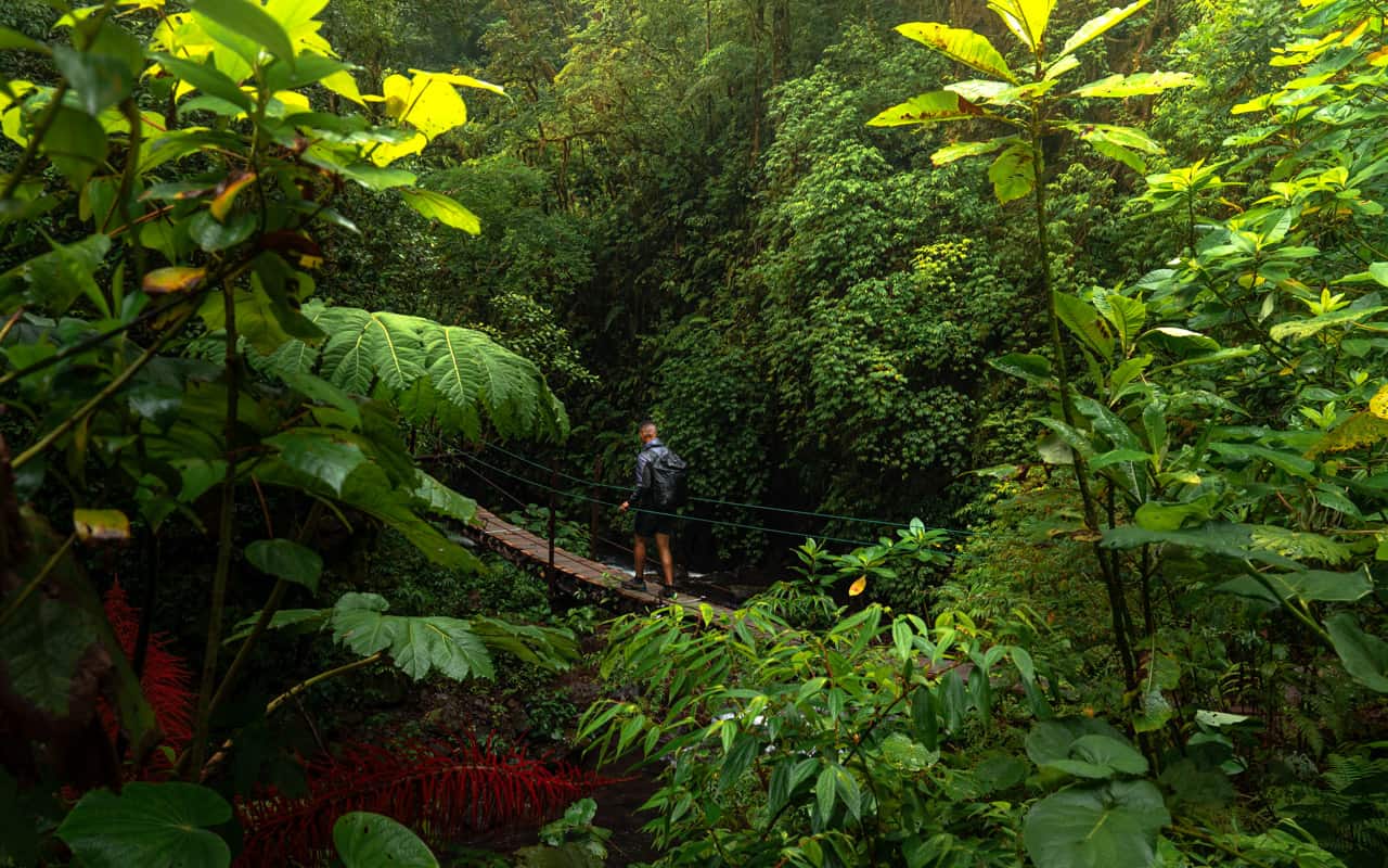 el-tigre-waterfalls-hanging-bridge