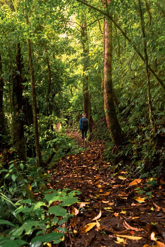 el-tigre-waterfalls-trail
