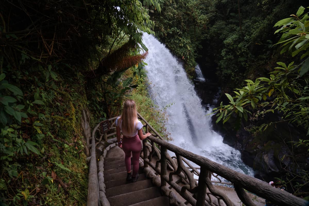 jaguar-head-closeup jaguar-head-closeup