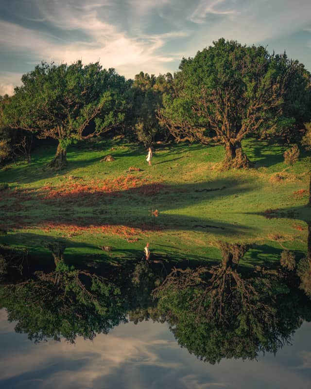 fanal-lake-madeira