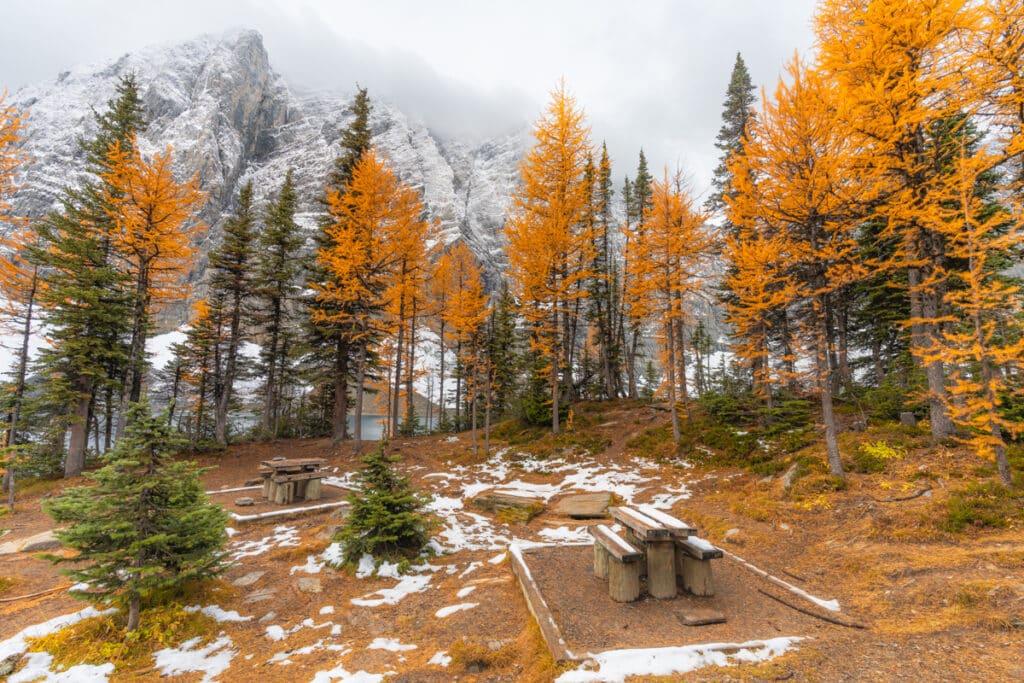 floe-lake-picnic-bench