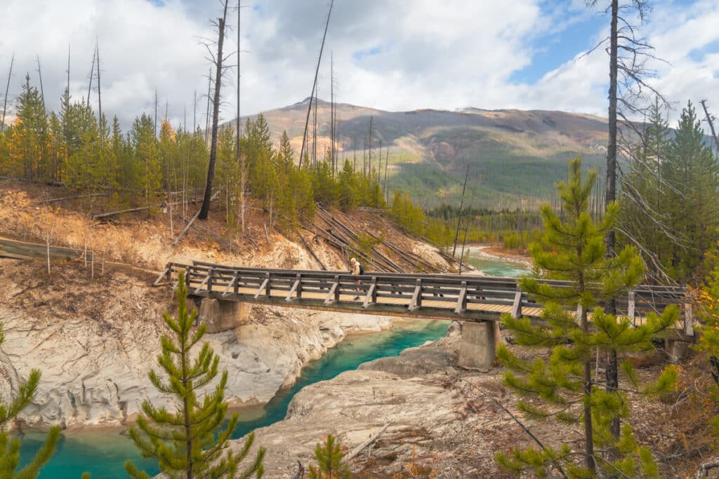 floe-lake-trail-bridge