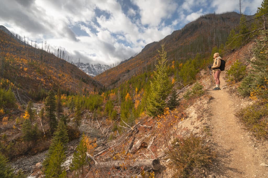 floe-lake-trail-first-part