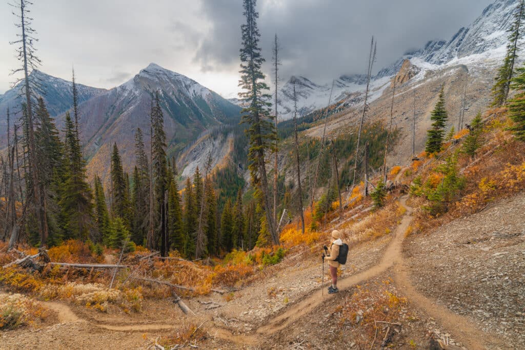 floe-lake-trail-views