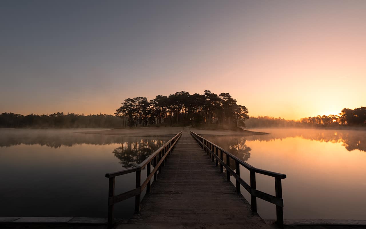 fog-photography-henschotermeer