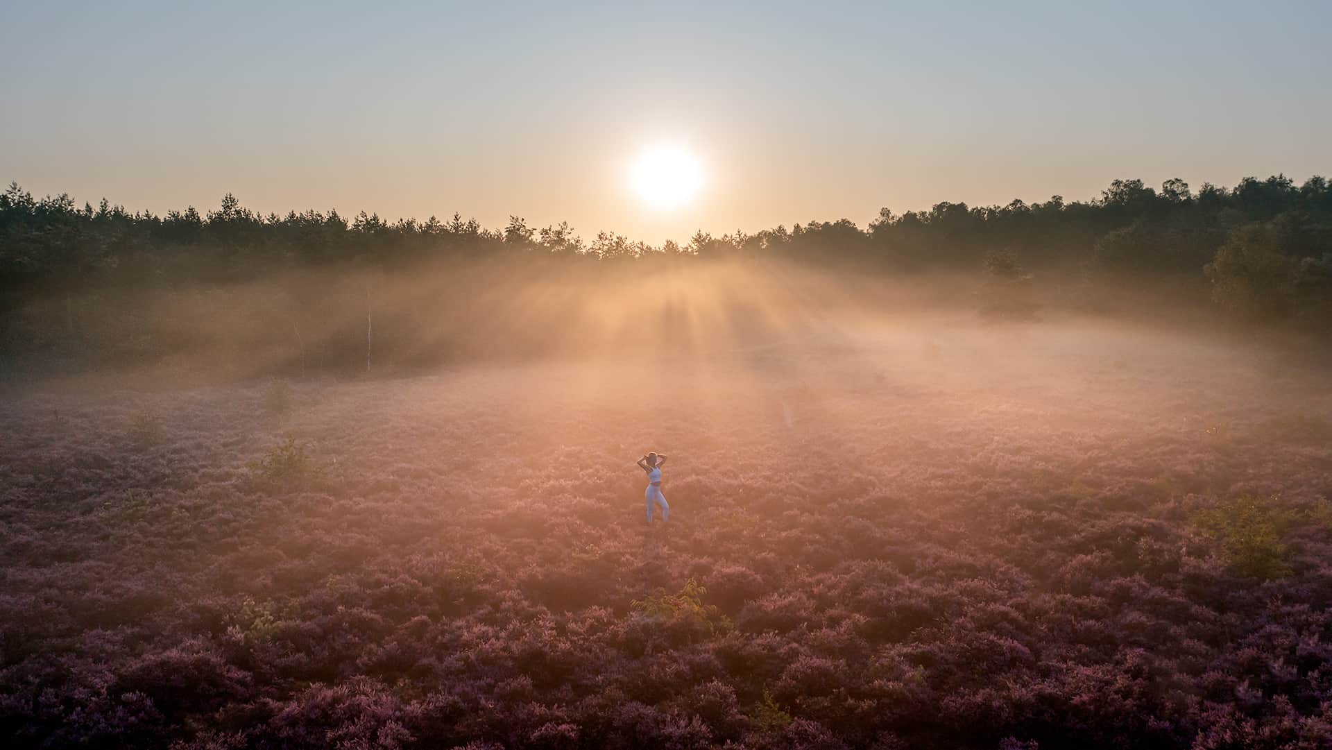 fog-photography-tips