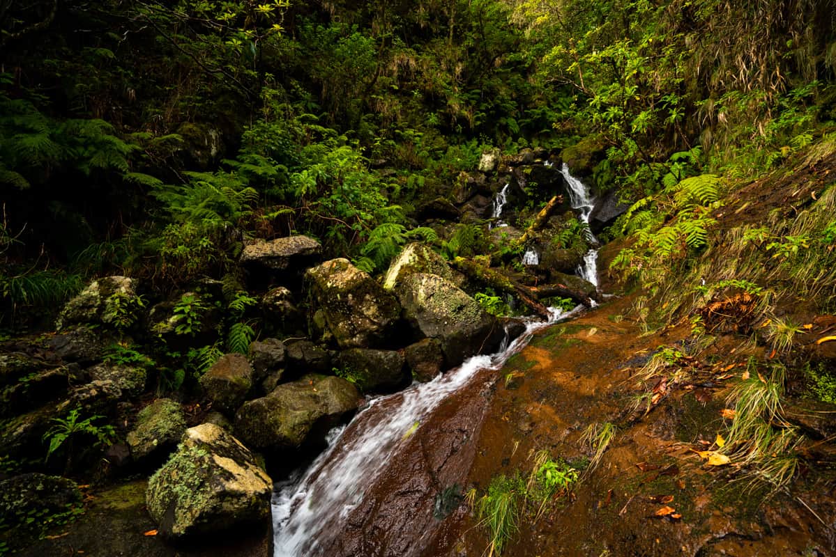folhadel-hike-madeira-waterfall folhadel-hike-madeira-waterfall