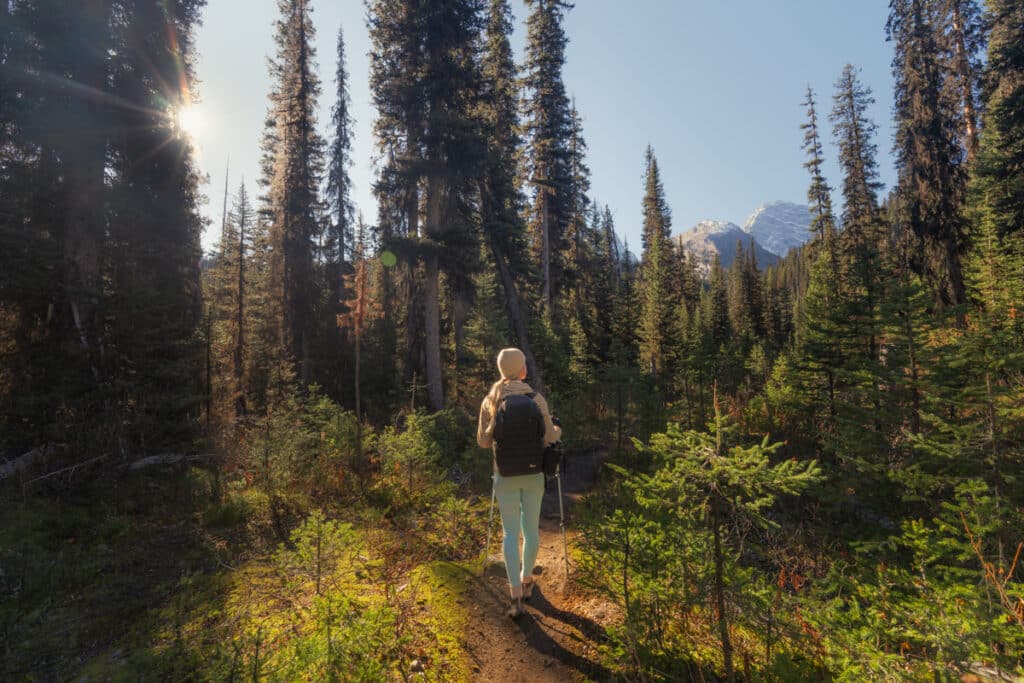 forest-smutwood-trail