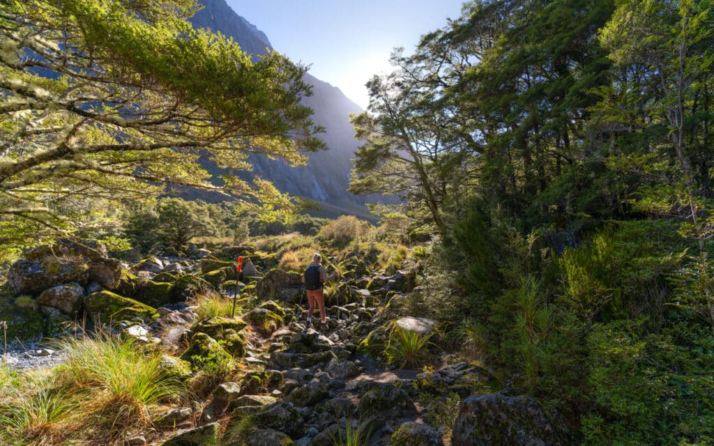 gertrude-saddle-hike-riverbed
