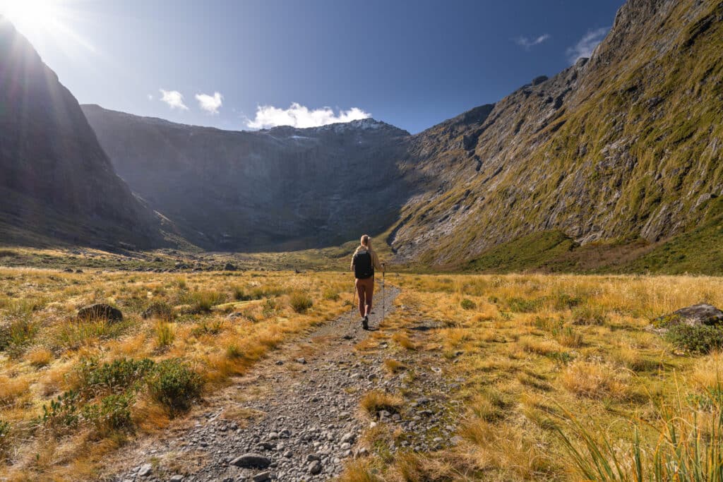 gertrude-saddle-hike-tussock-grass