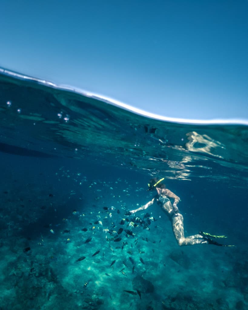 gopro-dome-port-feeding-fish gopro-dome-port-feeding-fish