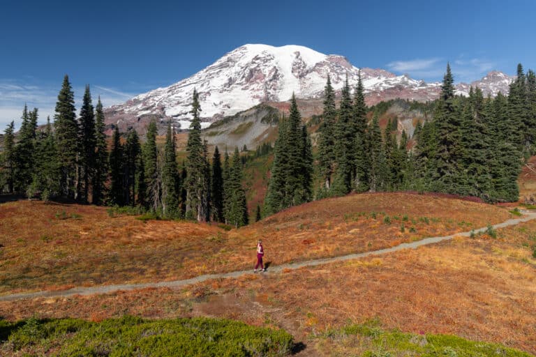 hikes-in-mount-rainier