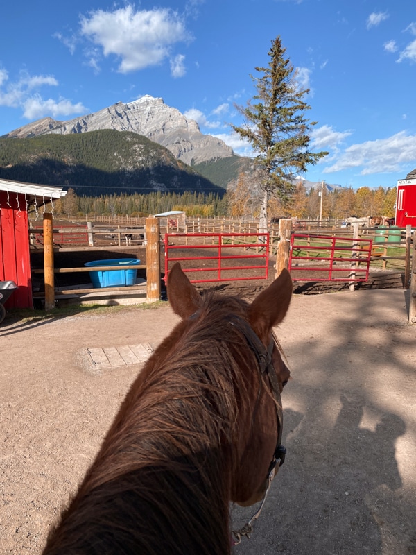 horse-riding-banff-trail-riders