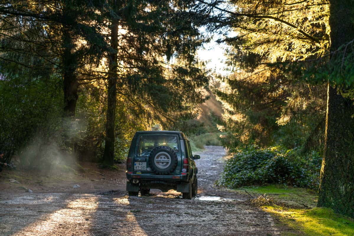jeep-madeira-forest jeep-madeira-forest