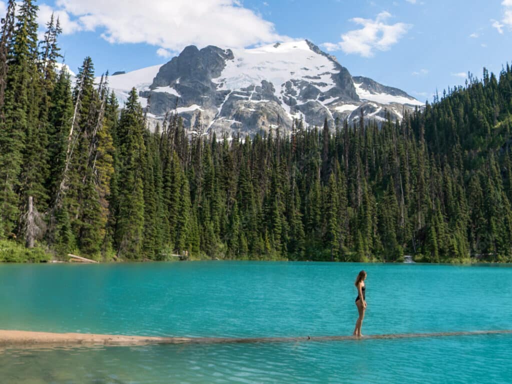 joffre-lake-photospot-summer-log