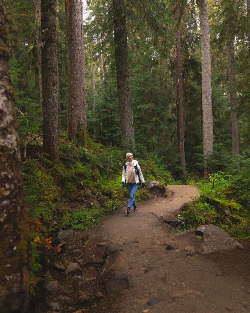 Joffre-lakes-hike-forest-trail-hiker-