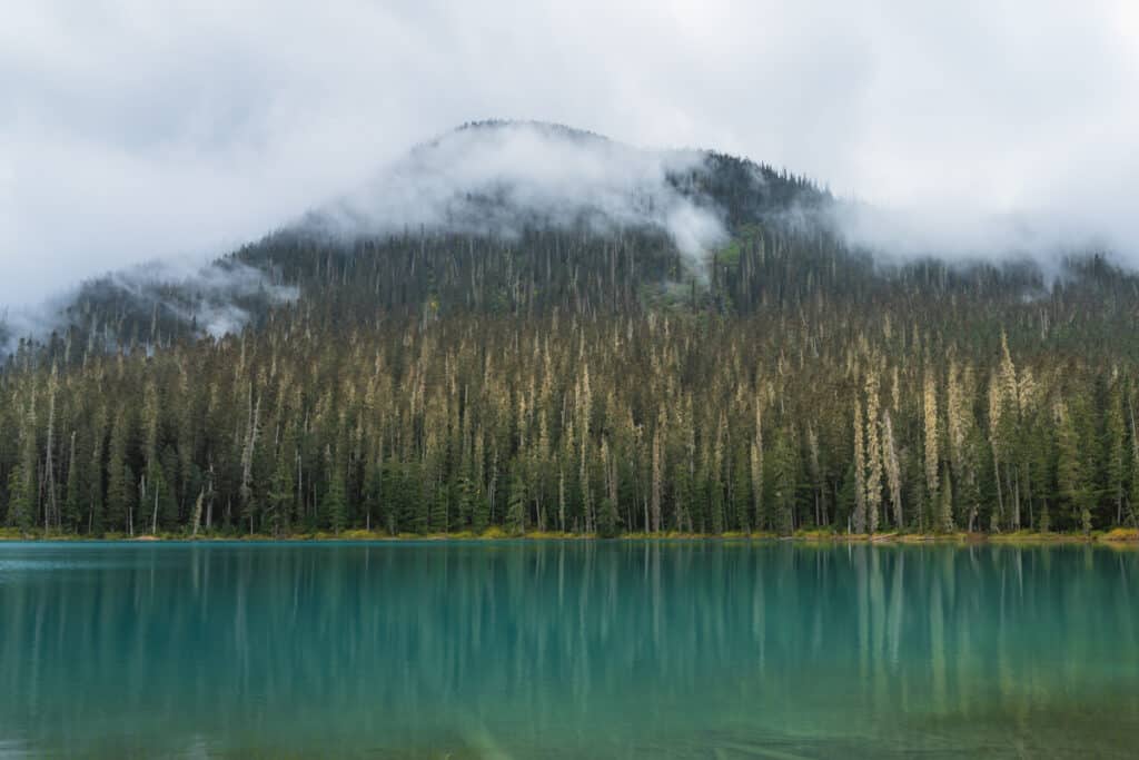 Joffre-lower-lake