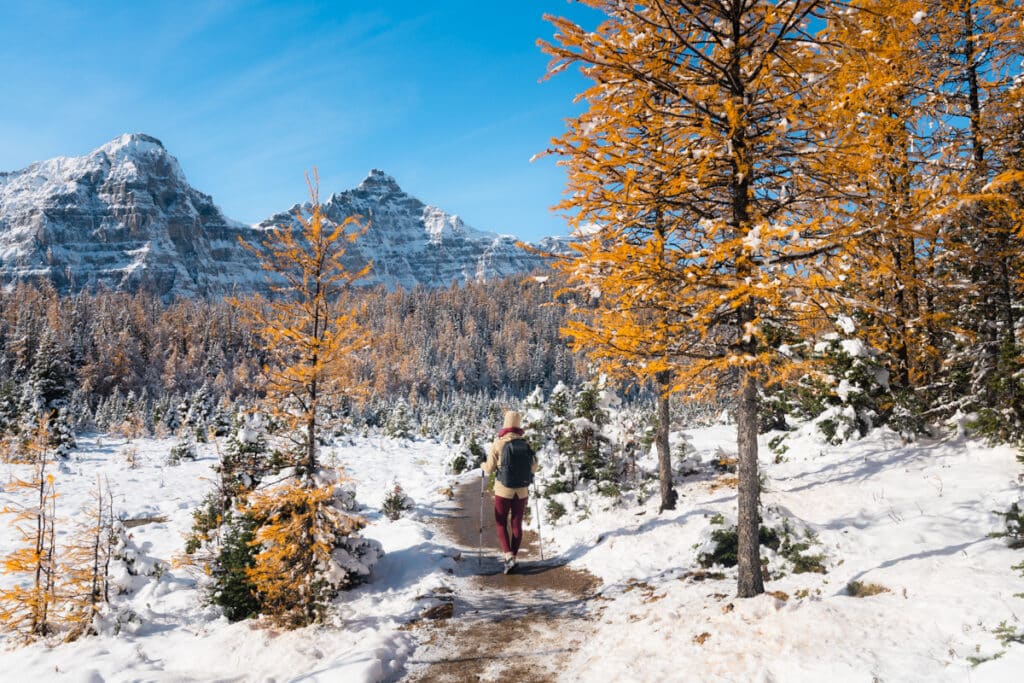 Larch-Valley-hike-Banff-snow-hiker