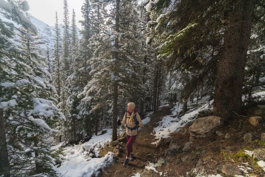 Larch-Valley-hike-forest