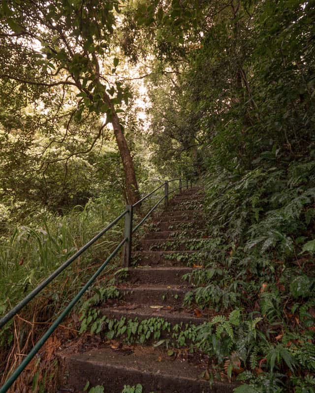 laxapana-falls-sri-lanka-stairs laxapana-falls-sri-lanka-stairs