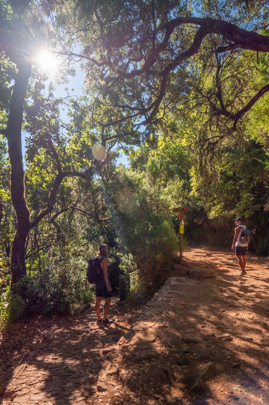 levada-das-25-fontes-intersection levada-das-25-fontes-intersection