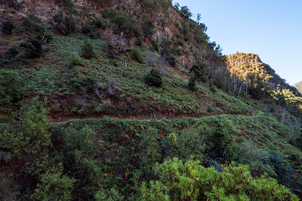 levada-do-moinho-hike-path levada-do-moinho-hike-path