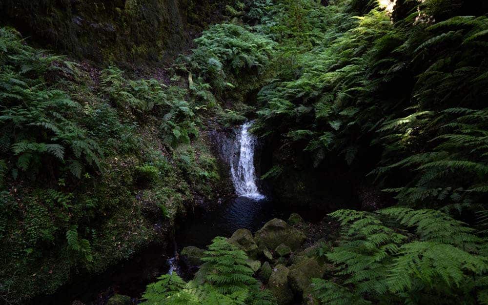 levada-do-rei-waterfall levada-do-rei-waterfall