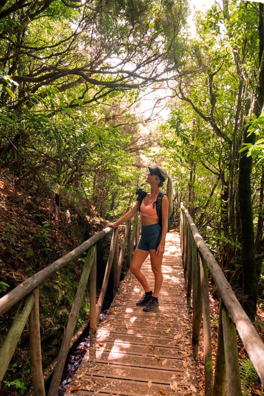 levada-dos-cedros-hike-bridge levada-dos-cedros-hike-bridge