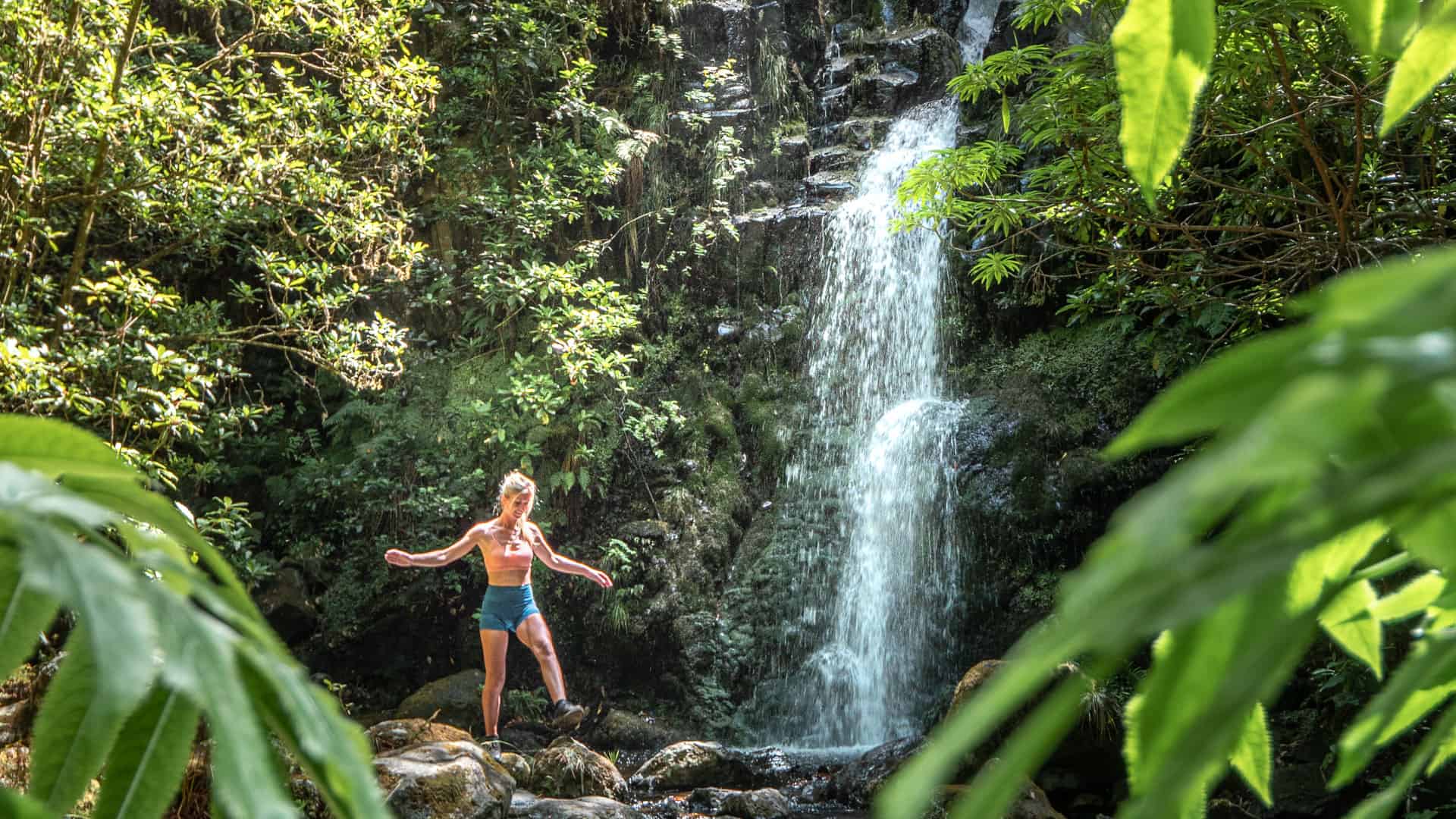 levada-dos-cedros-madeira-waterfall levada-dos-cedros-madeira-waterfall