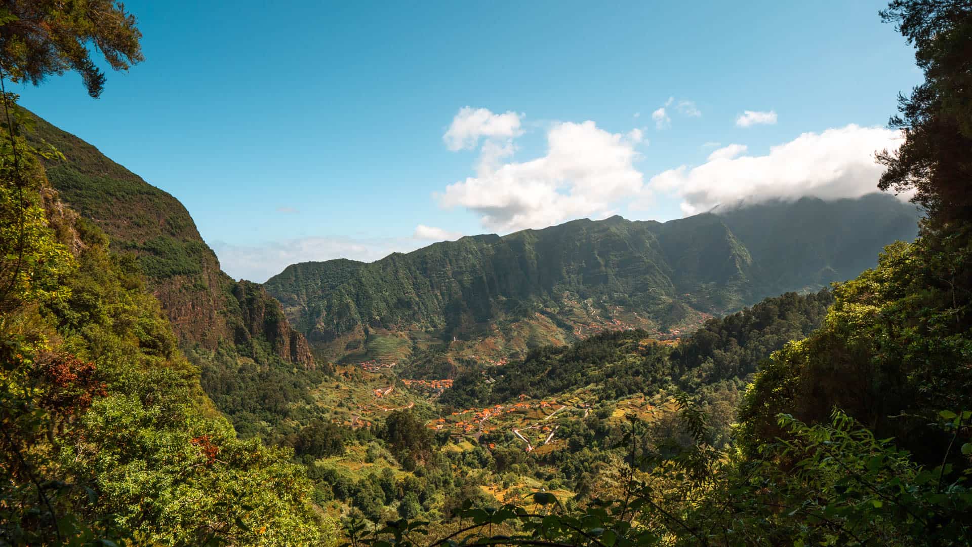 levada-faja-do-rodrigues levada-faja-do-rodrigues