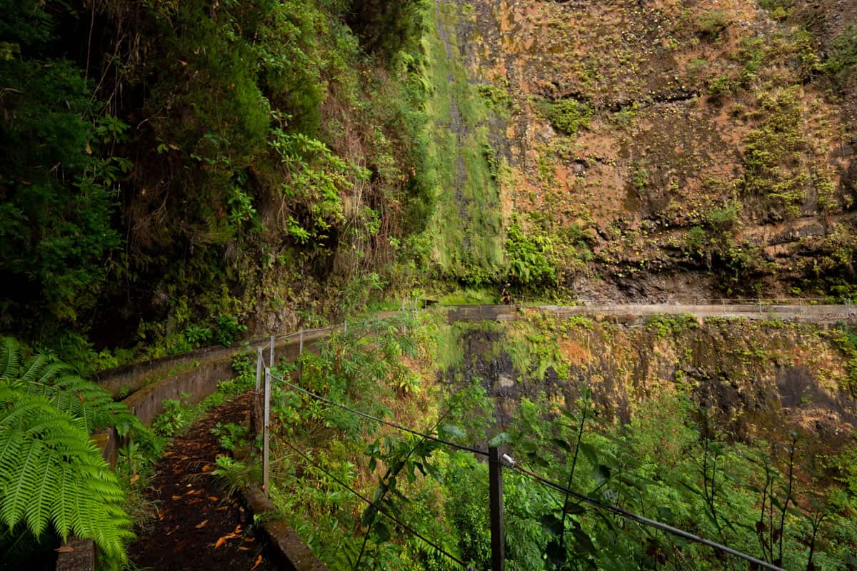 levada-faja-do-rodrigues- levada-faja-do-rodrigues-