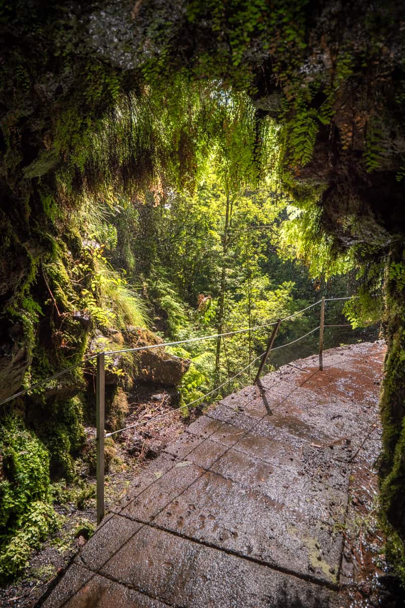 levada-faja-do-rodrigues-tunnel-moss levada-faja-do-rodrigues-tunnel-moss