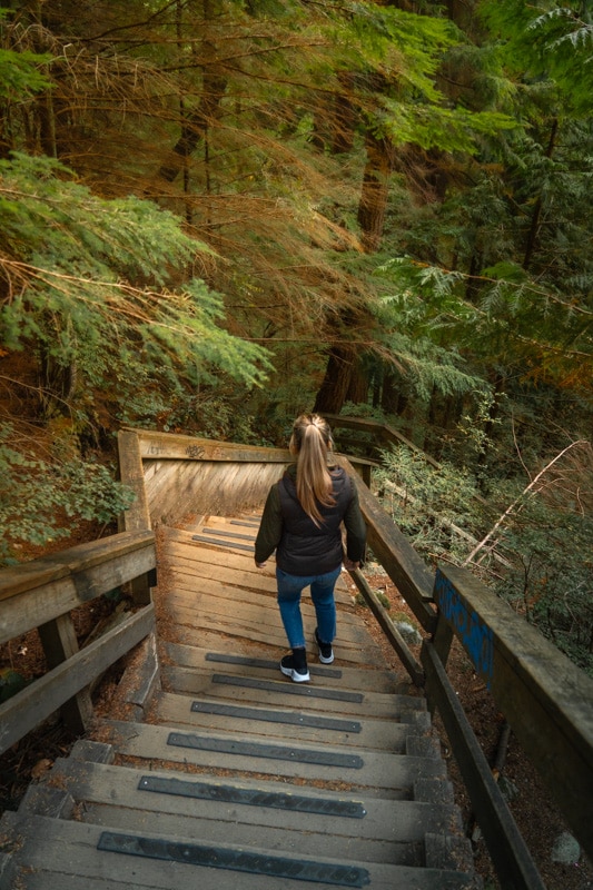 lynn-canyon-hike-stairs