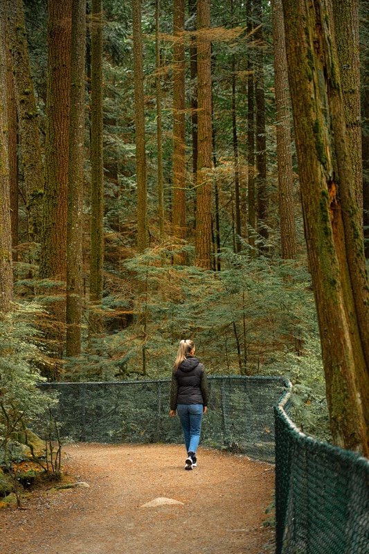 lynn-canyon-hike-trees
